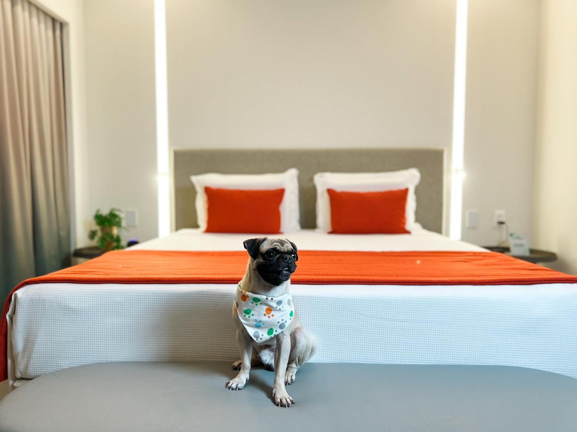Japaratinga Lounge Resort 외부 사진